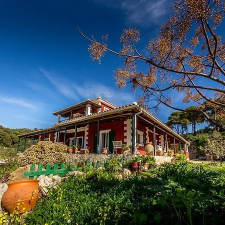 Villa Nina *